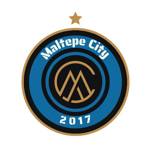 Maltepe City Academy